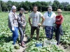 Кабардино-Балкария: Овощеводы развивают кооперацию
